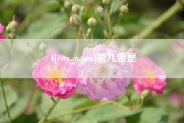 黑河第九金是