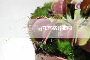 黑河九宫格分布图