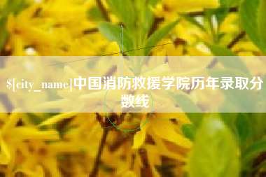 黑河中国消防救援学院历年录取分数线