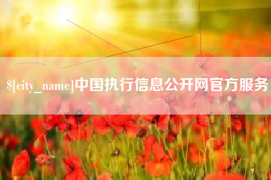 黑河中国执行信息公开网官方服务