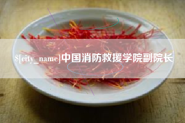 黑河中国消防救援学院副院长