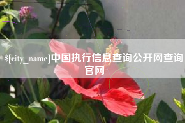 黑河中国执行信息查询公开网查询官网