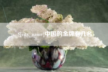 黑河中国的金牌有几名