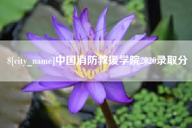 黑河中国消防救援学院2020录取分