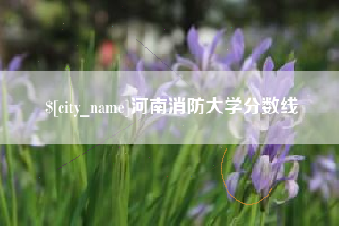 黑河河南消防大学分数线