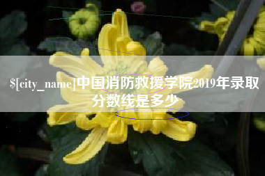 黑河中国消防救援学院2019年录取分数线是多少