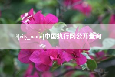 黑河中国执行网公开查询