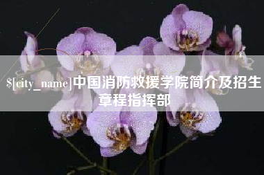 黑河中国消防救援学院简介及招生章程指挥部