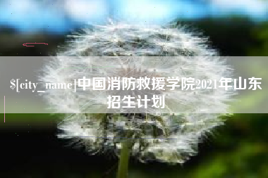 黑河中国消防救援学院2021年山东招生计划