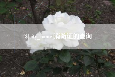 黑河消防证的查询