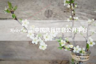 黑河中国执行信息公开平台