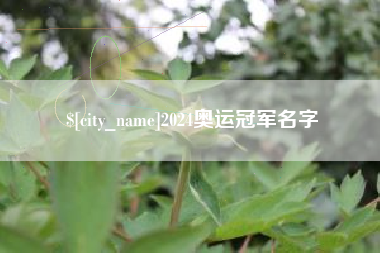 黑河2024奥运冠军名字