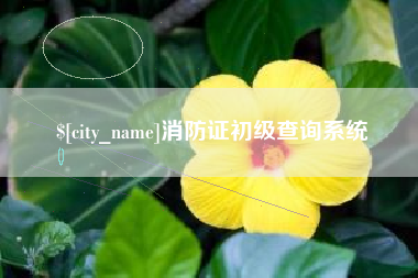 黑河消防证初级查询系统