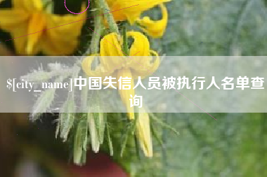 黑河中国失信人员被执行人名单查询