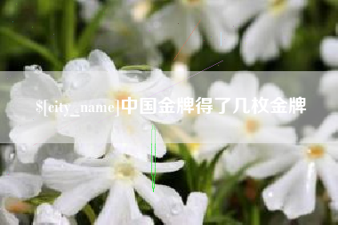 黑河中国金牌得了几枚金牌
