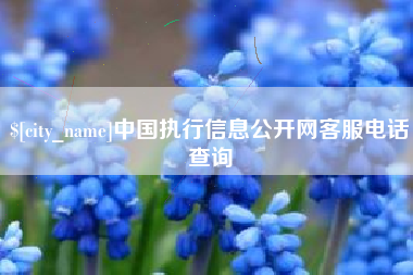黑河中国执行信息公开网客服电话查询