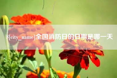 黑河全国消防日的日期是哪一天