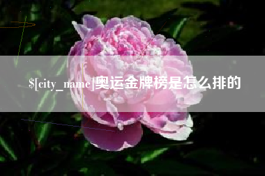 黑河奥运金牌榜是怎么排的