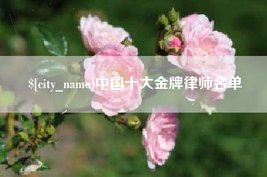 黑河中国十大金牌律师名单