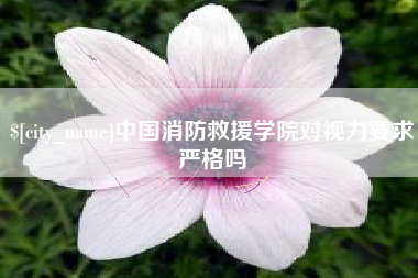 黑河中国消防救援学院对视力要求严格吗
