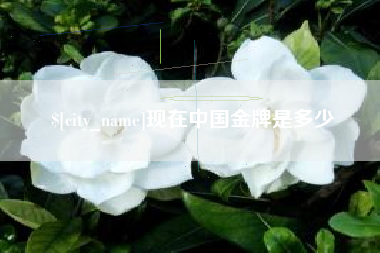 黑河现在中国金牌是多少