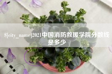 黑河2021中国消防救援学院分数线是多少