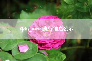 黑河执行信息公示