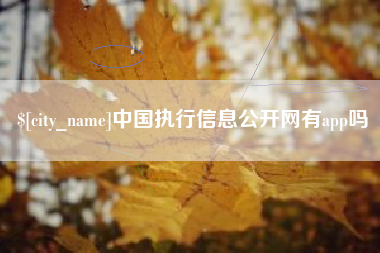 黑河中国执行信息公开网有app吗