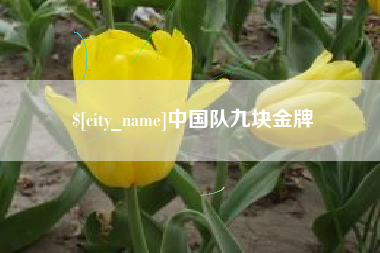 黑河中国队九块金牌