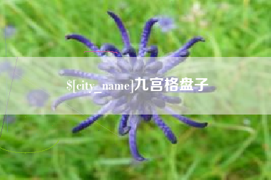 黑河九宫格盘子
