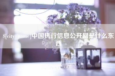 黑河中国执行信息公开网是什么东西