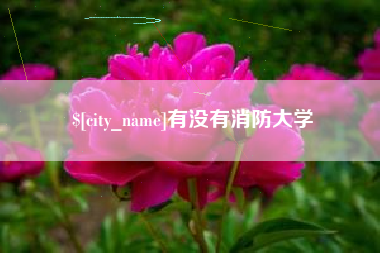 黑河有没有消防大学