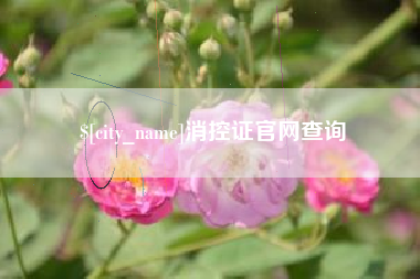 黑河消控证官网查询