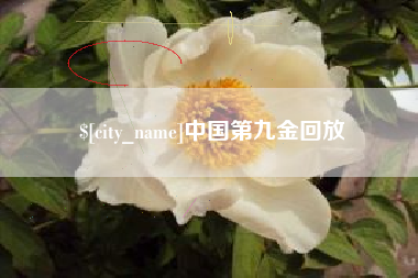 黑河中国第九金回放