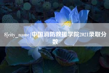黑河中国消防救援学院2021录取分数