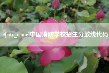 黑河中国消防学校招生分数线代码