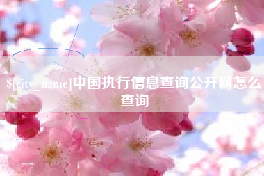 黑河中国执行信息查询公开网怎么查询