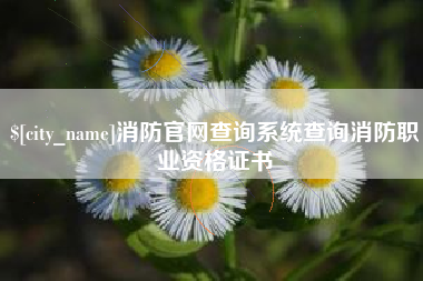 黑河消防官网查询系统查询消防职业资格证书