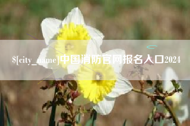 黑河中国消防官网报名入口2024