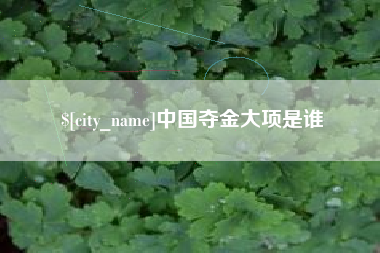 黑河中国夺金大项是谁
