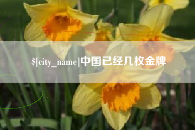 黑河中国已经几枚金牌