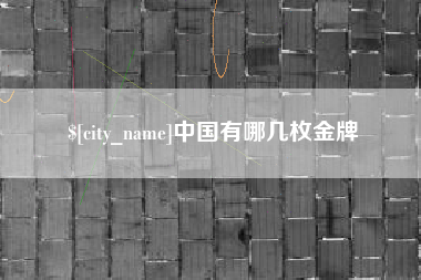 黑河中国有哪几枚金牌