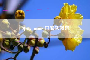 黑河国家队图案