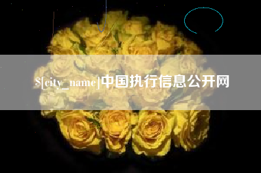 黑河中国执行信息公开网
