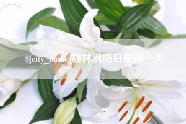 黑河森林消防日是哪一天