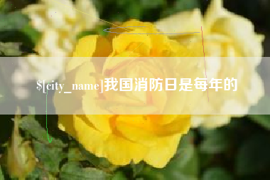 黑河我国消防日是每年的