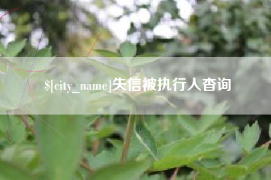 黑河失信被执行人杳询