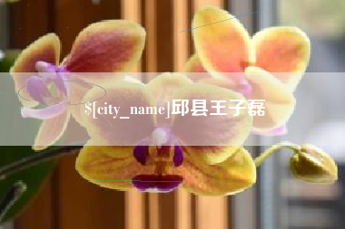 黑河邱县王子磊