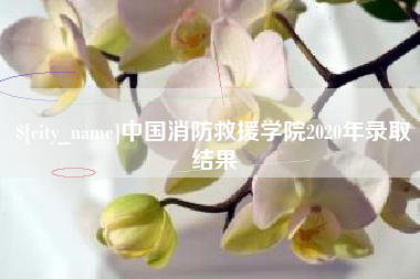 黑河中国消防救援学院2020年录取结果