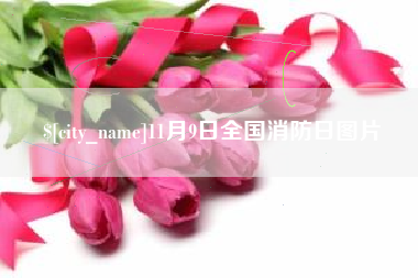 黑河11月9日全国消防日图片